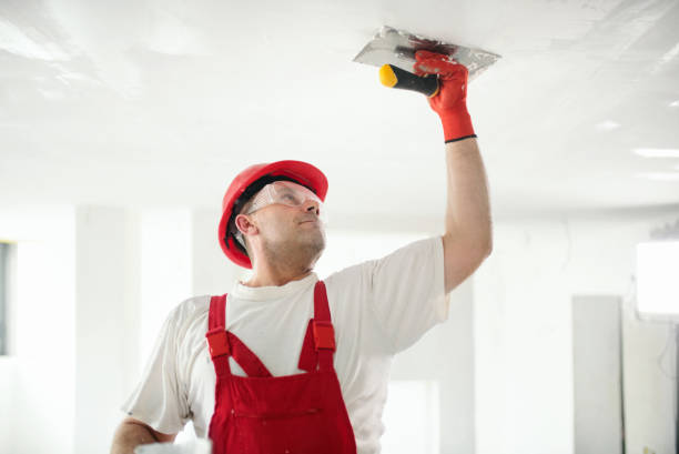 Best Emergency Mold Remediation  in Concordia, NJ