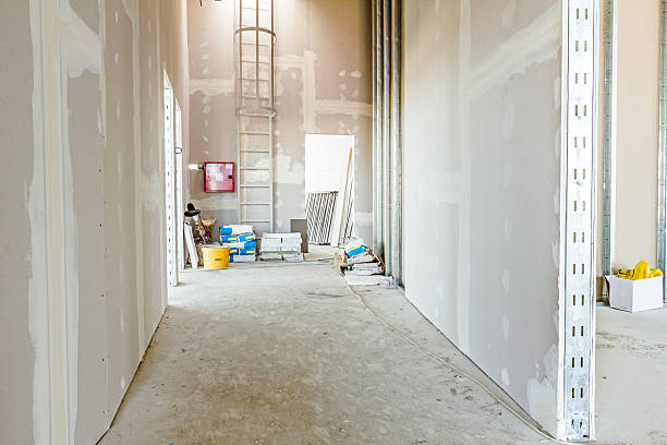Best Air Quality Testing for Mold Spores  in Concordia, NJ