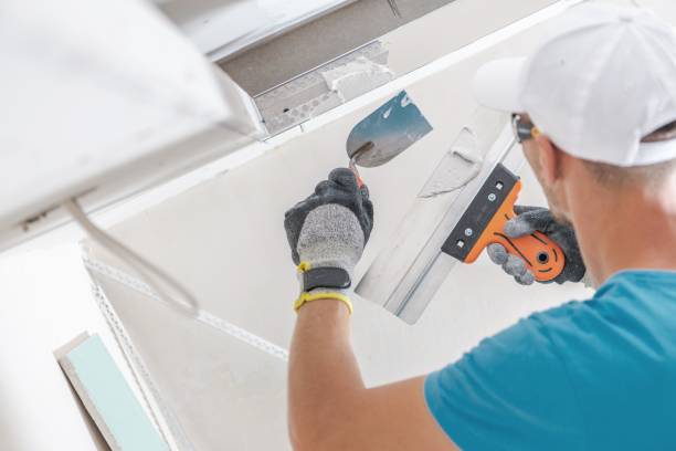 Best Attic Mold Removal  in Concordia, NJ